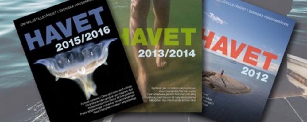 Rapporter
