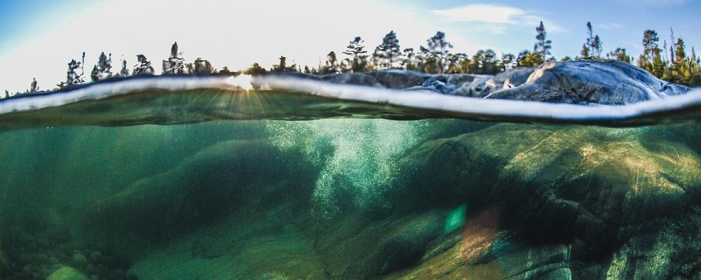 Bild som visar havsyta ovan och under vid klippbotten.