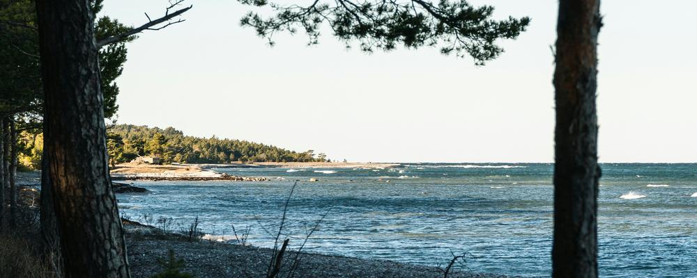 havskustbild