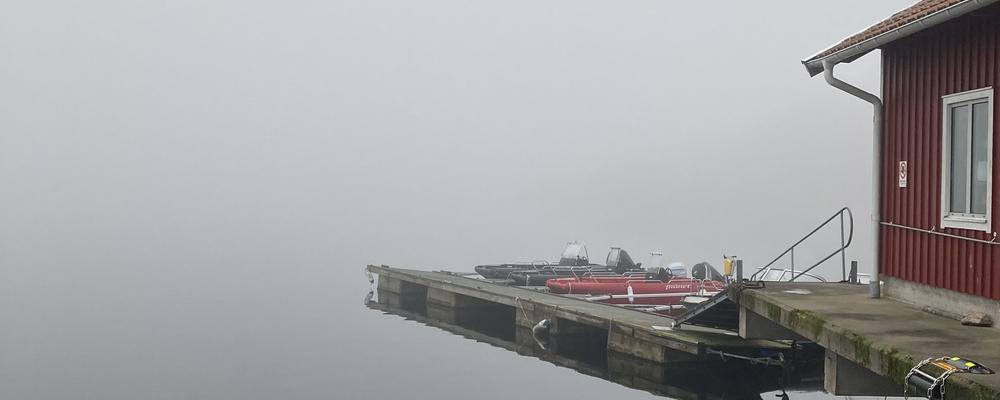 Flytbrygga i vattnet vid en sjöbod