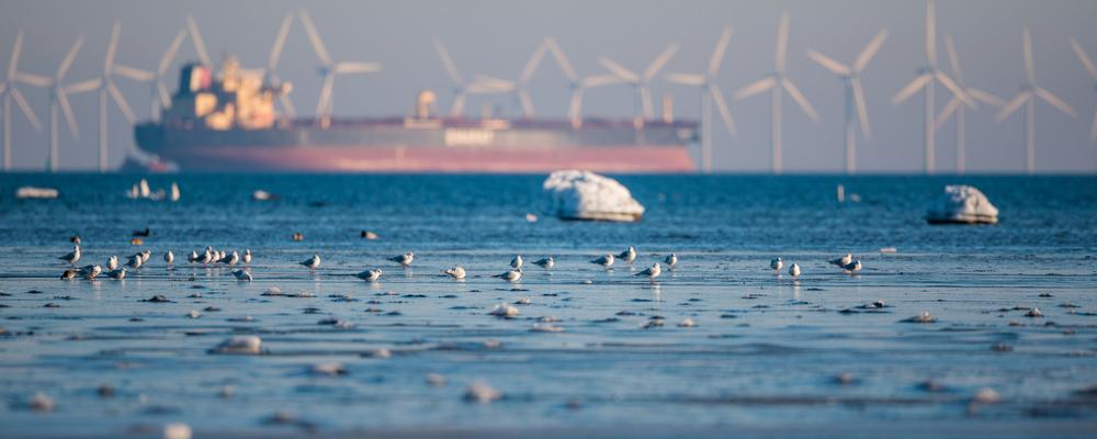 Ship and wind turbines