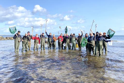 Folk står i vadarbyxor i långgrunt vatten på sandstrand.