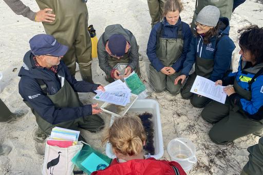 Personer lyssnar på guide på strand.