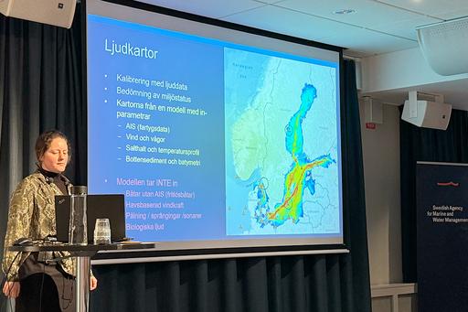 Bild som visar föreläsare om buller vid Vattenmiljöseminariet 2025