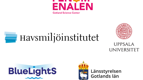 Logotyper Östersjödagen 2026